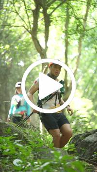 BIB:  <button type="button" onclick="openModal(27944505)" class="btn btn-primary btn-sm float-right" data-toggle="modal" data-target=".modal-high-quality">
                <i class="fa fa-download"></i> Download
                </button>